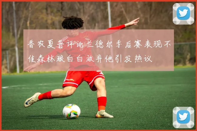香农夏普评论兰德尔季后赛表现不佳森林狼白白放弃他引发热议