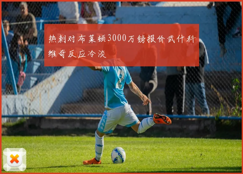 热刺对布莱顿3000万镑报价武什科维奇反应冷淡